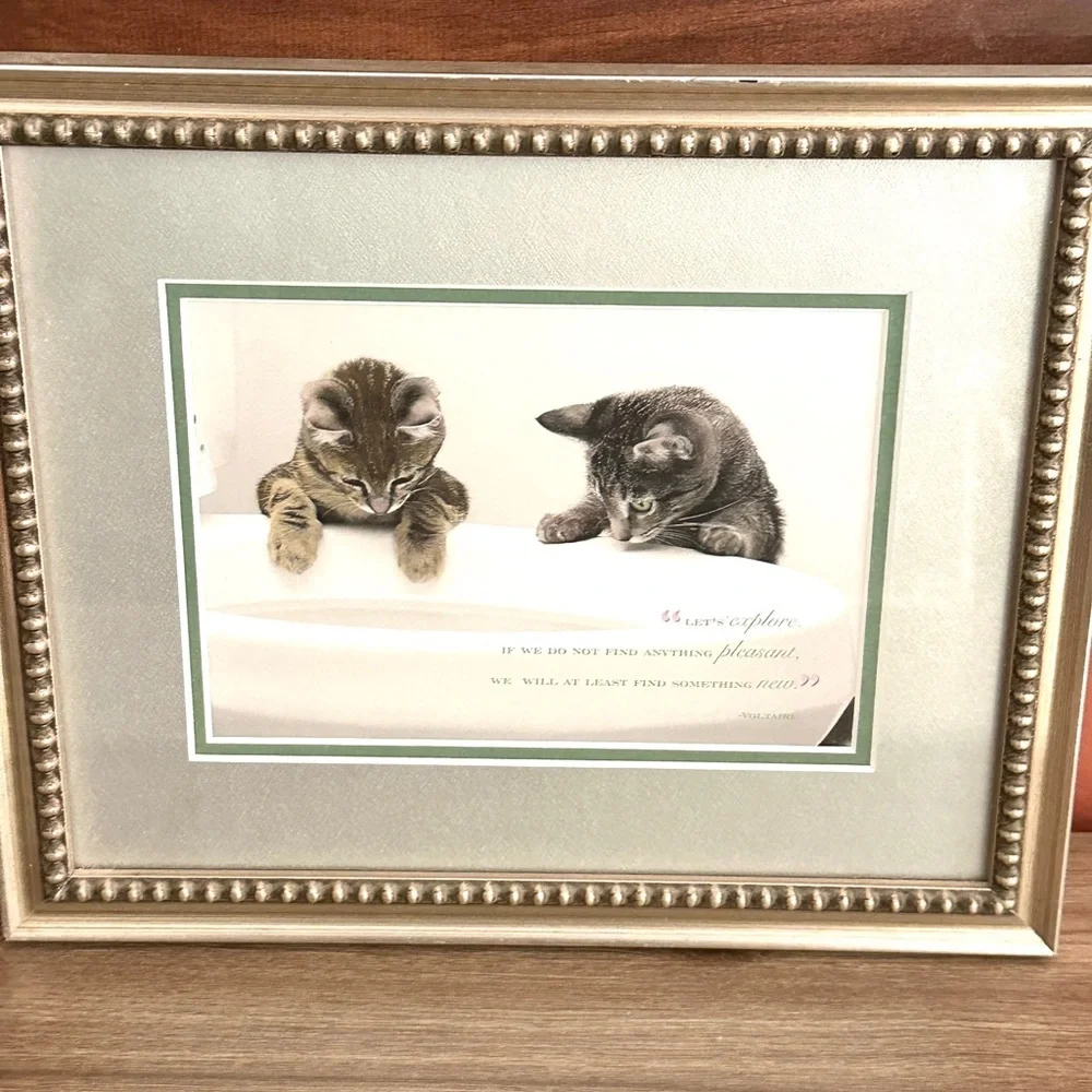 Let’s Explore…Find Something New Cat Print Kitty Voltaire Quote Framed Wall Art